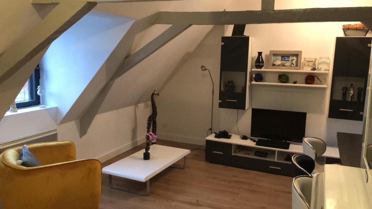 Logement Avec Deux Appartements Sur Deux Etages Wormhout Экстерьер фото